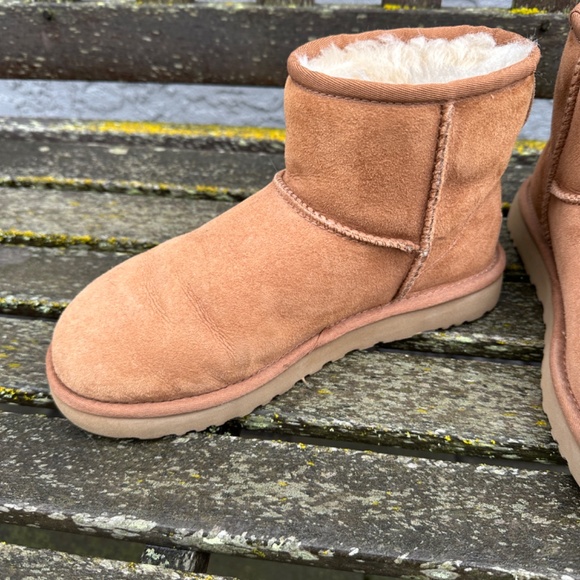 UGG Classic Chestnut Minis - Picture 3 of 5